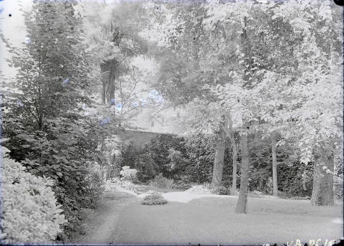 Rue des Carmes (photos n°25 à 27)