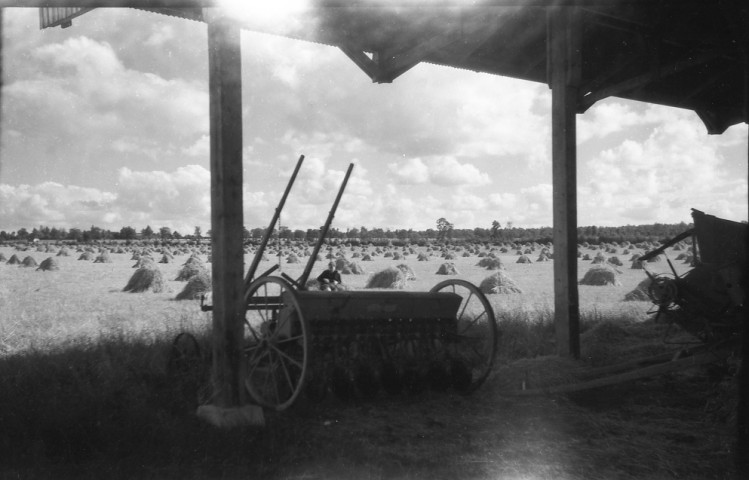 Moissons, fauchage, foin, semailles (photos n°530 à 545, 547)