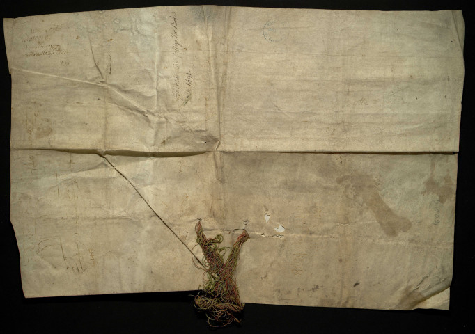 Dossier sur la fondation