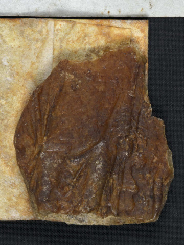 Lettre d'Henri II au bailli de Caen, avec présence d'un sceau