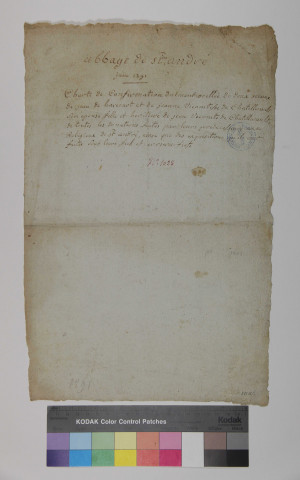 Jean de Harcourt et sa femme Jeanne, vicomtesse de Châtellerault, confirment les donations de l'abbaye. L'acte porte leurs sceaux très bien conservés.