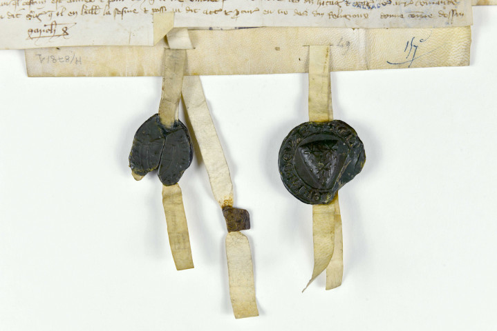 Figure 39. Guillaume des Vallées