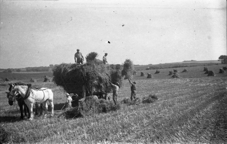Chargement du foin dans une charrette à cheval (photos n°428 à 435)