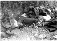 Equipage d'un blindé anglais décédé à Villers-Bocage (photo 74)