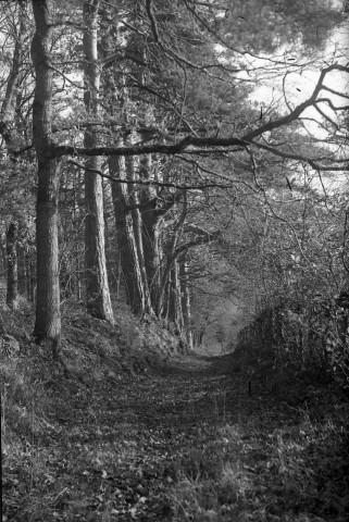 Villy-lez-Falaise : campagne et chemins (photos n°807 à 814)