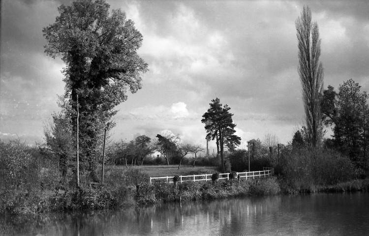 Pertheville-Ners : étang (photos n°712 à 718)