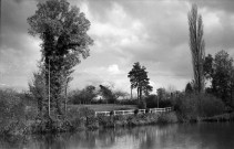 Pertheville-Ners : étang (photos n°712 à 718)