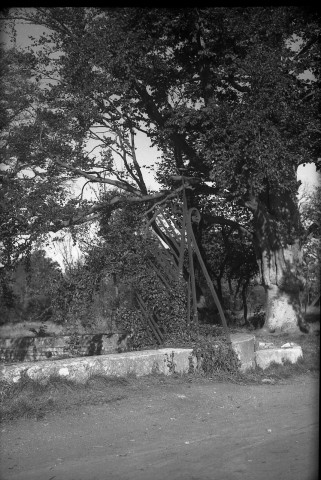 Plantes, cave voutée et muret (probablement à Falaise) (photos n°878 à 881)