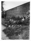 Une tombe fleurie à Bretteville-sur-Odon. [photo n°229]