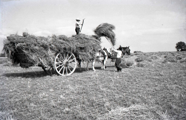 Brûlage, ramassage de foin et de pommes de terre (?) (photos n°30 à 41)
