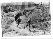 Les troupes s'entraînent en permanence (photos 223 et 237)