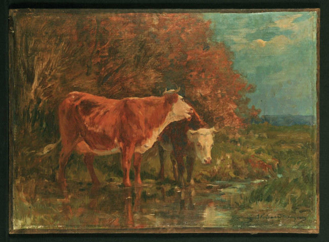 Vaches au bord d'un ruisseau, par Adrien Voisard-Margerie