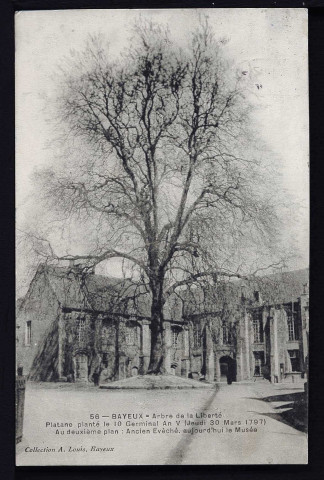 Chapelle, ancien palais de justice, musée avec l'arbre de la liberté (n°427 à 438)