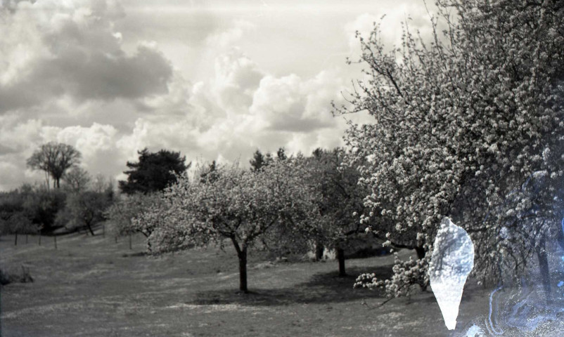 Falaise, campagne près de la Route de Bretagne (photos n°720 à 723)