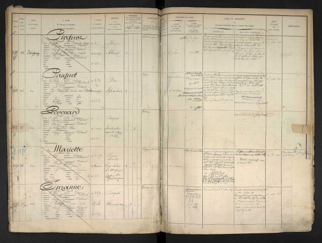 Picquot, François Louis