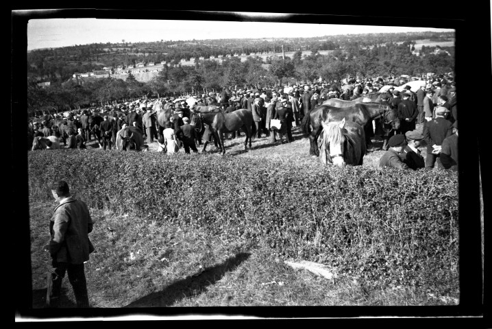 Fête des mères en l'église Saint-Martin Foire Saint-Gilles. Marché aux bestiaux à Condé-sur-Noireau, par Robert Desaunay (photos n°411 à 418)