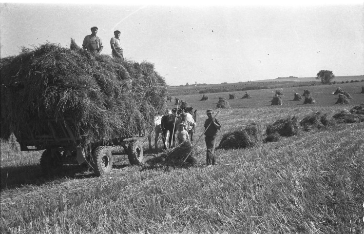 Chargement du foin dans une charrette à cheval (photos n°428 à 435)