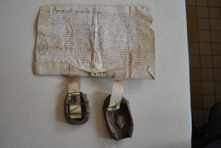 Moulin, dîmes, treizième, affermage de la seigneurie, patronage.