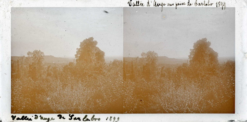 "Près d'Houlgate" (photos n°8 et 9)